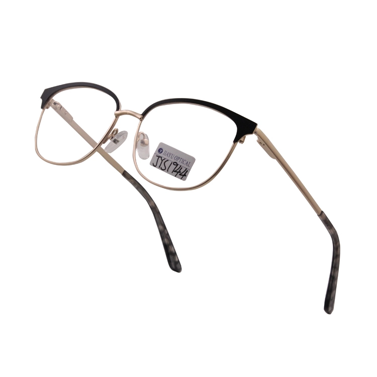 Double Color Metal Eyeglasses 